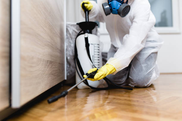 Best Wildlife Control Services  in Villas, FL