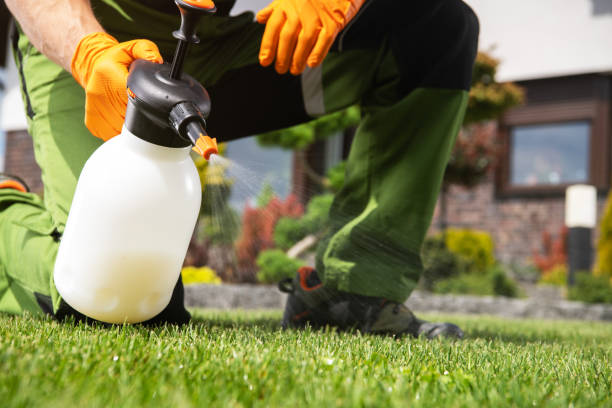 Best Affordable Pest Control Services  in Villas, FL