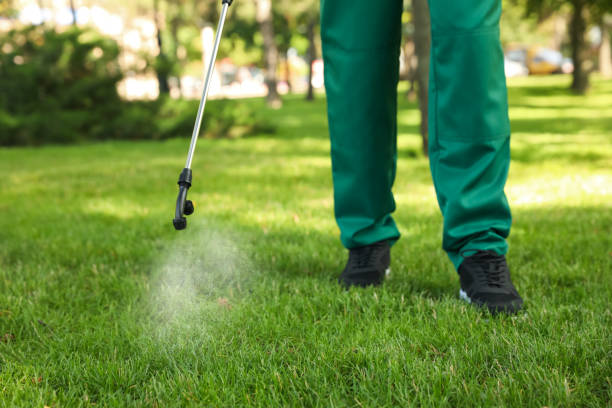 Reliable Villas, FL Pest Control Solutions