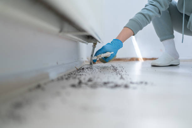 Professional Pest Control in Villas, FL